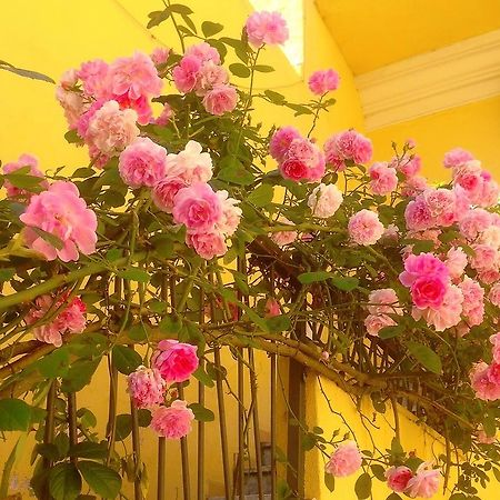 B&B Maison Rosetta Iun-E4948 Nuoro  Bagian luar foto