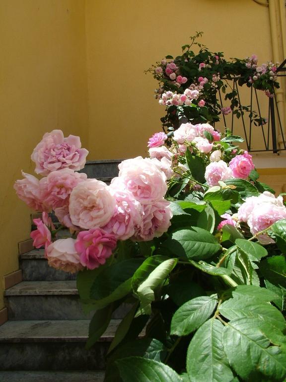 B&B Maison Rosetta Iun-E4948 Nuoro  Bagian luar foto