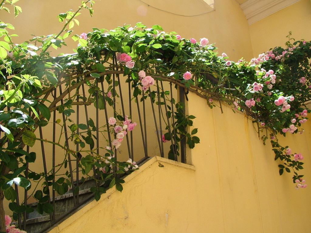 B&B Maison Rosetta Iun-E4948 Nuoro  Bagian luar foto
