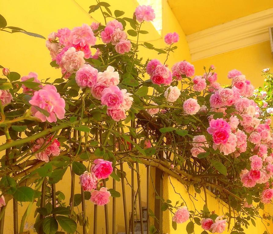B&B Maison Rosetta Iun-E4948 Nuoro  Bagian luar foto
